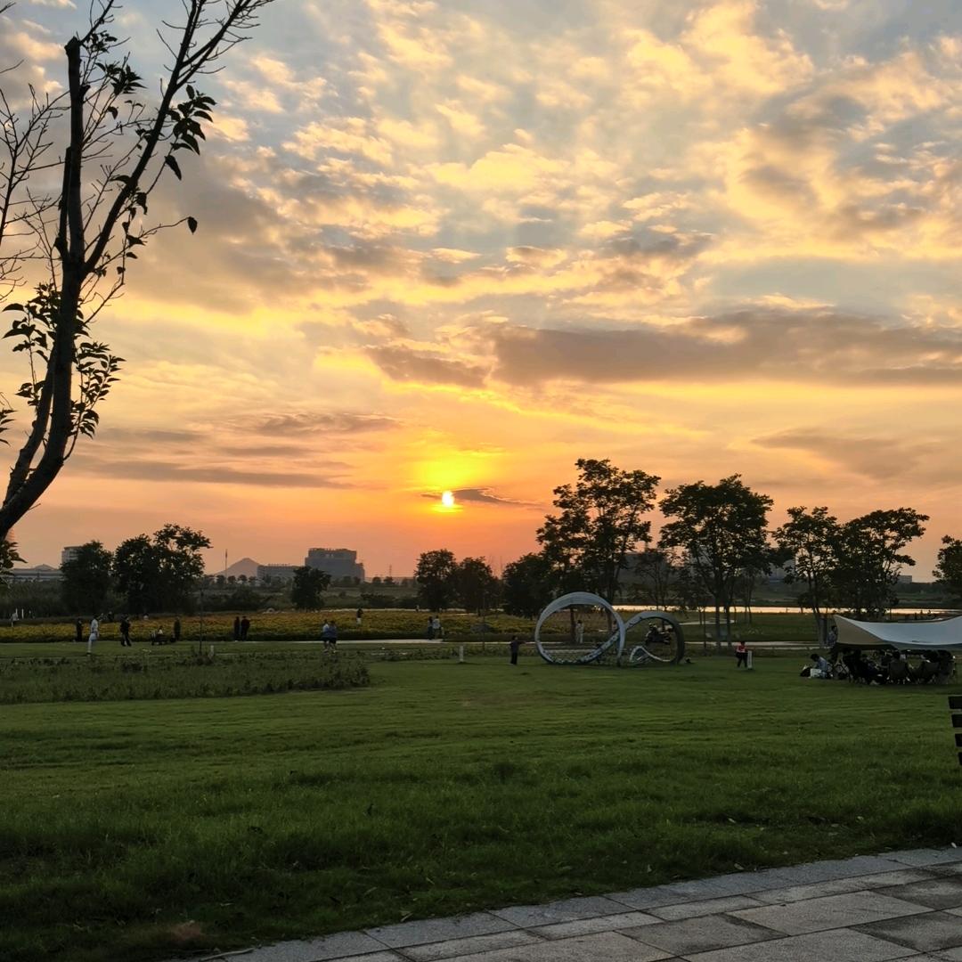 晨曦☀️