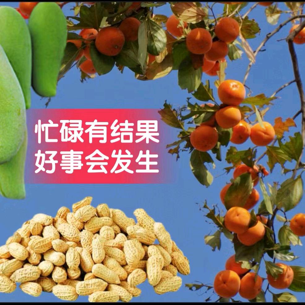 宜馨