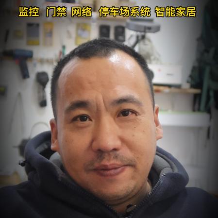 老刀是一棵树
