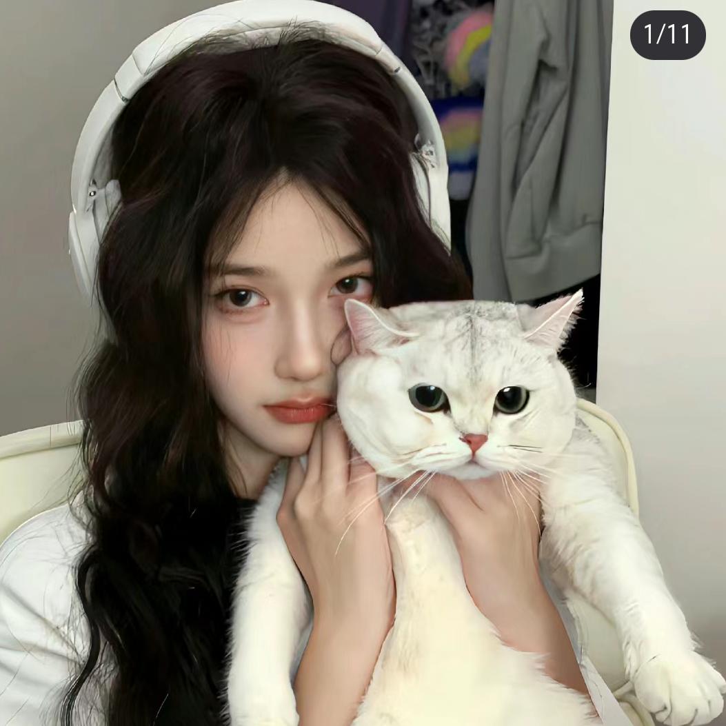 小曹在睡觉💤