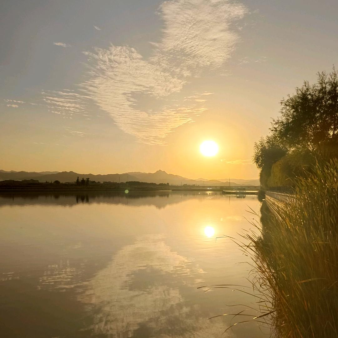 春雨里洗过的太阳🌞