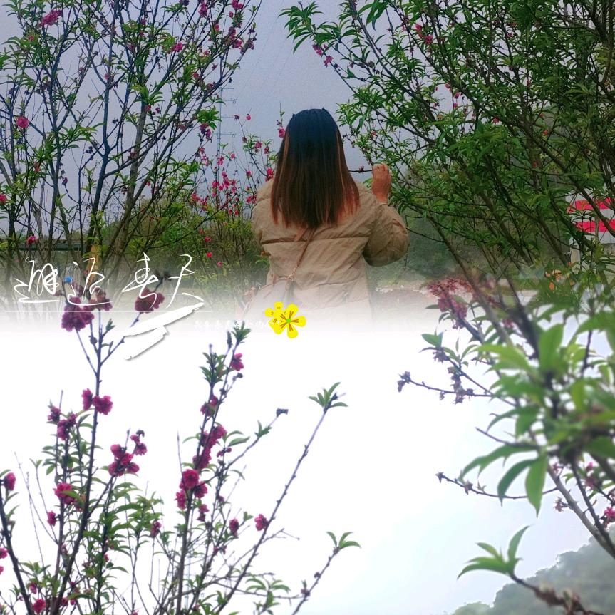 像你（请不要连点赞）