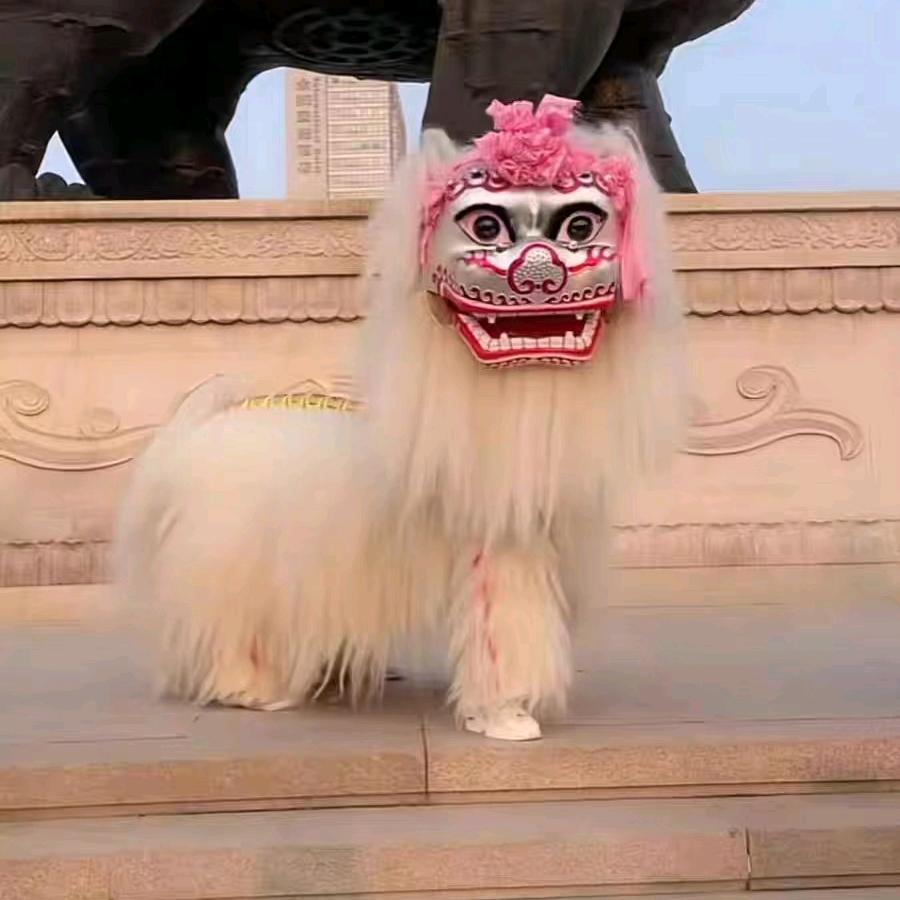 内黄红拳舞狮团长