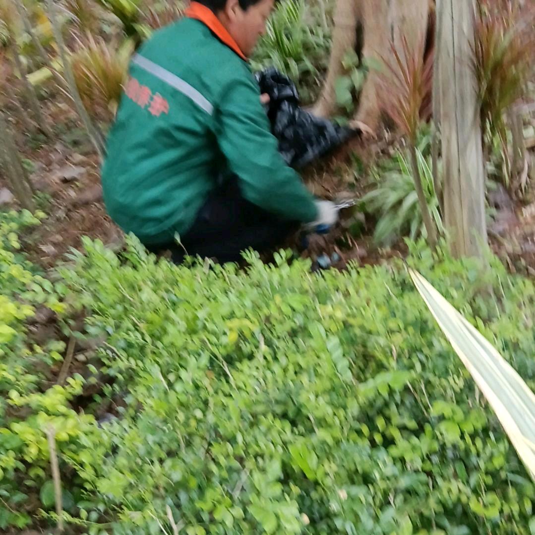 没把你忘记