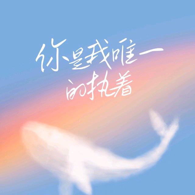 你是我唯一的执着