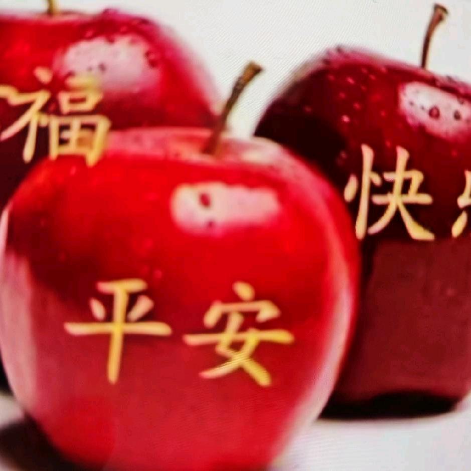 带刺的玫瑰🌹🌹❤️❤️