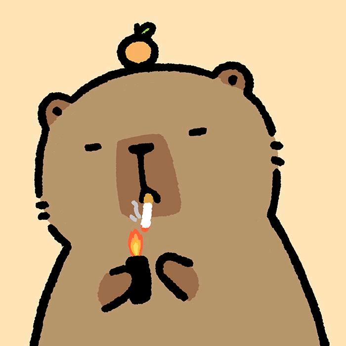 讨厌呆瓜