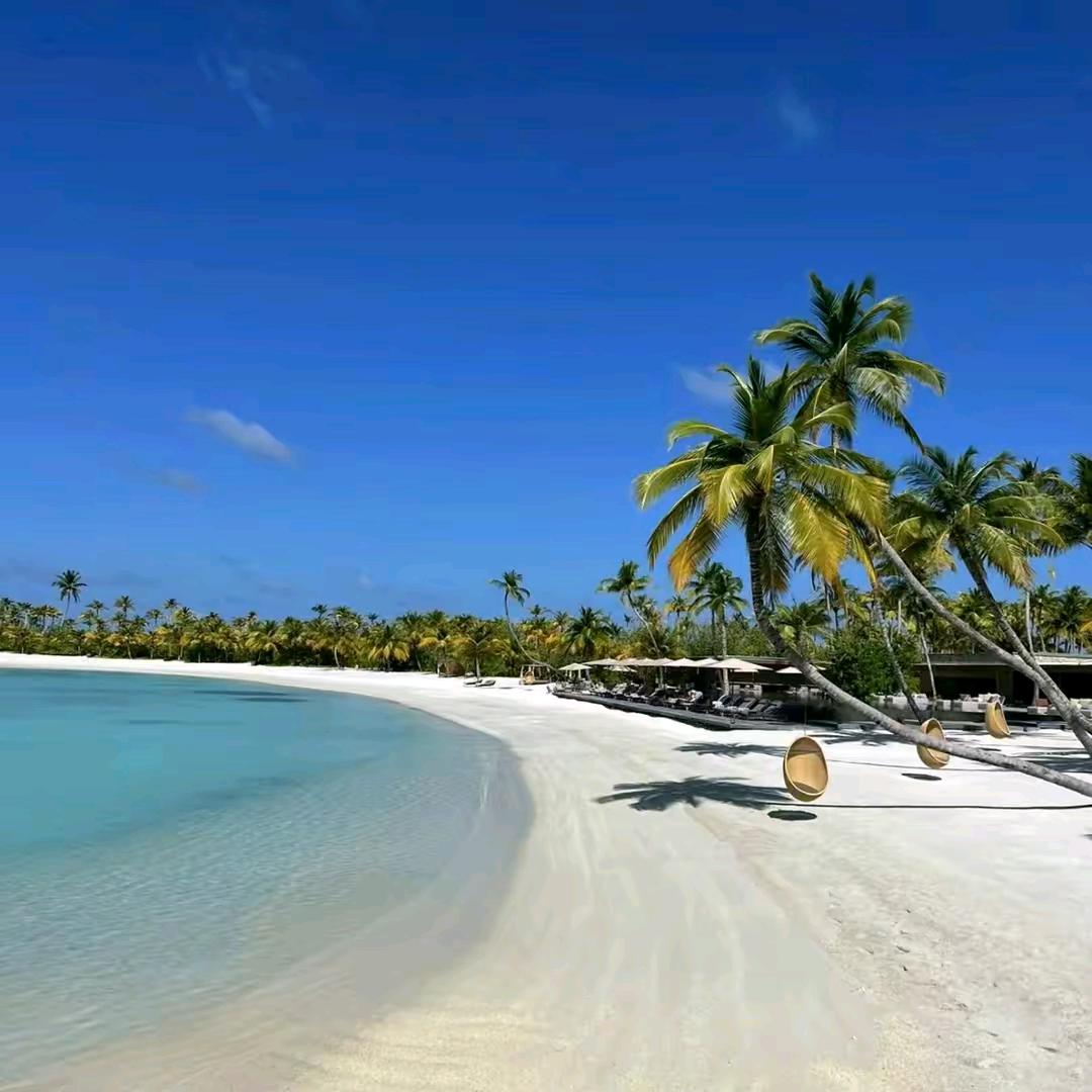 燕姐驾校，双石井酒业