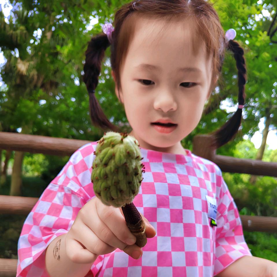 凤菇靚