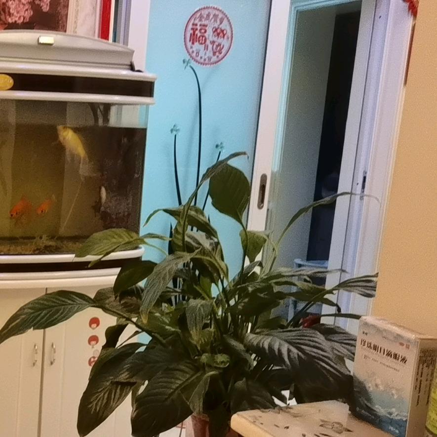 往后余生好好爱自己