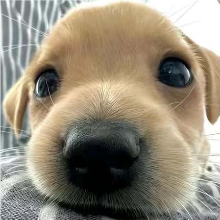 玉yyyyy