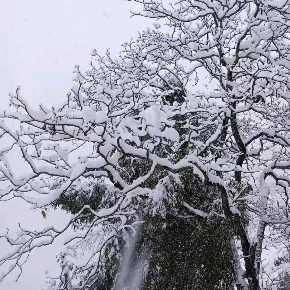 未来都是梦！