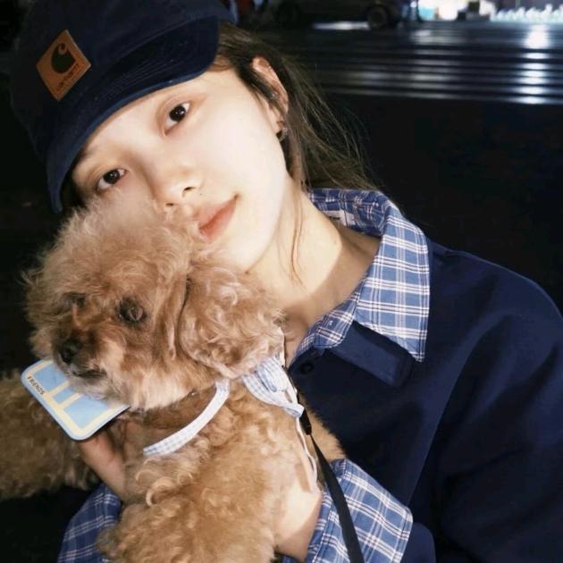 豆皮大王万万岁