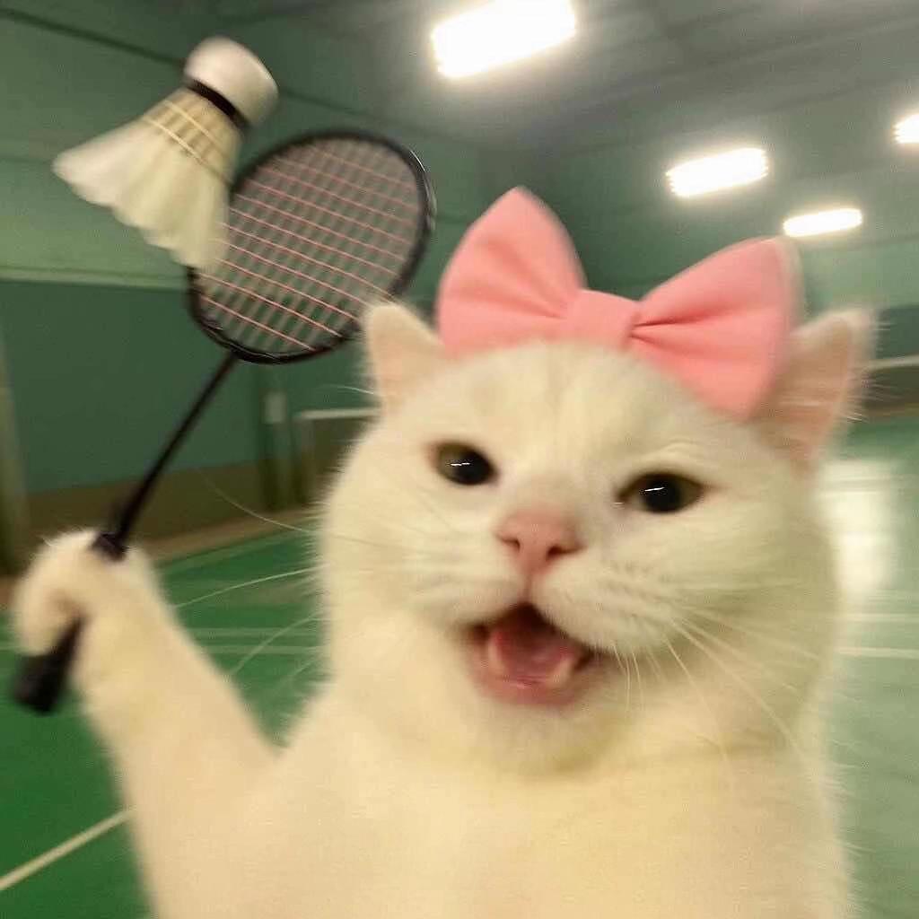 好哄的炮仗 ੭ﾞ