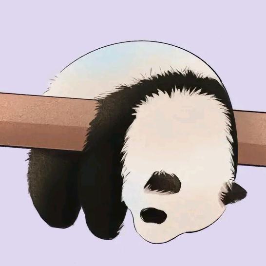 满山裤衩我的最红