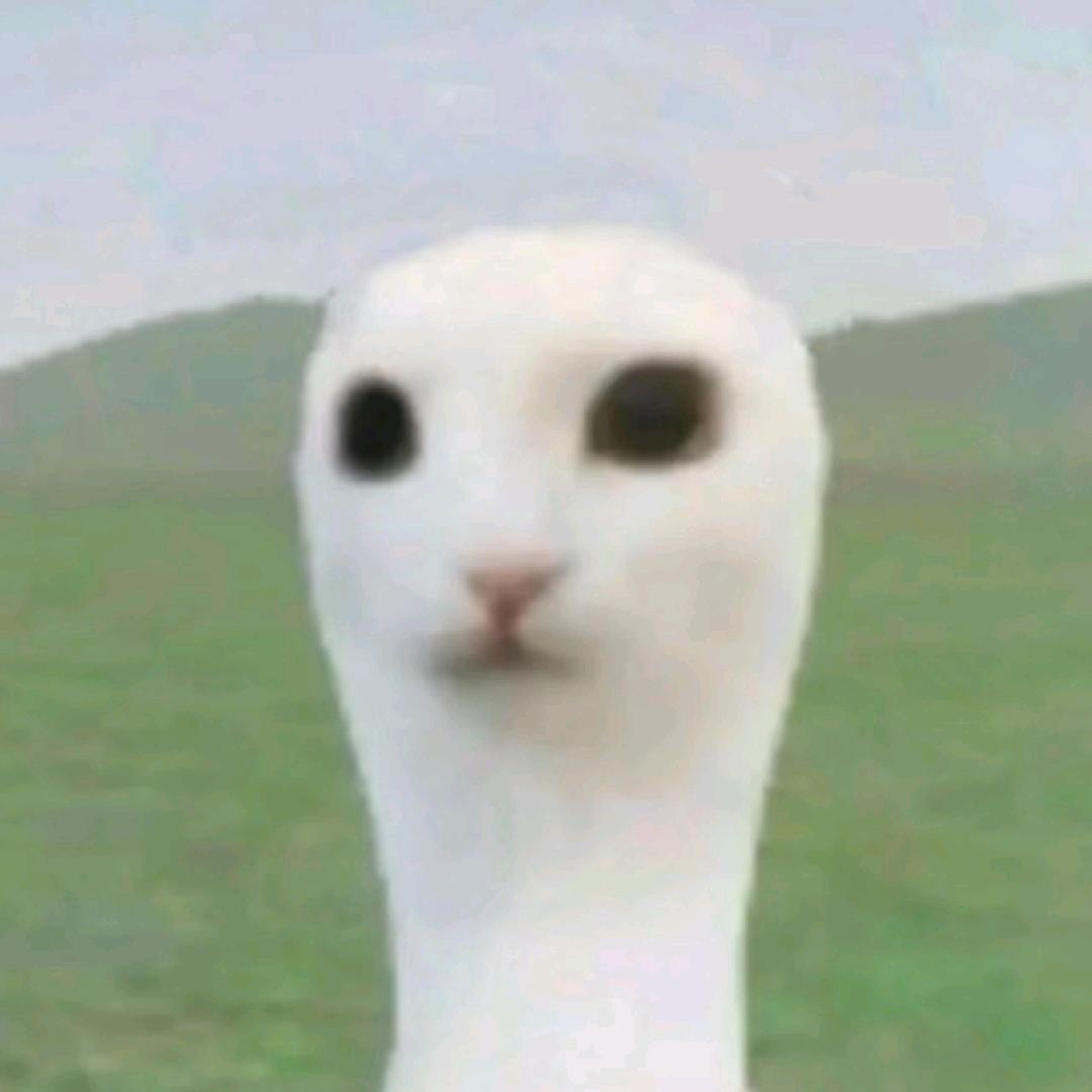 🫧🫧