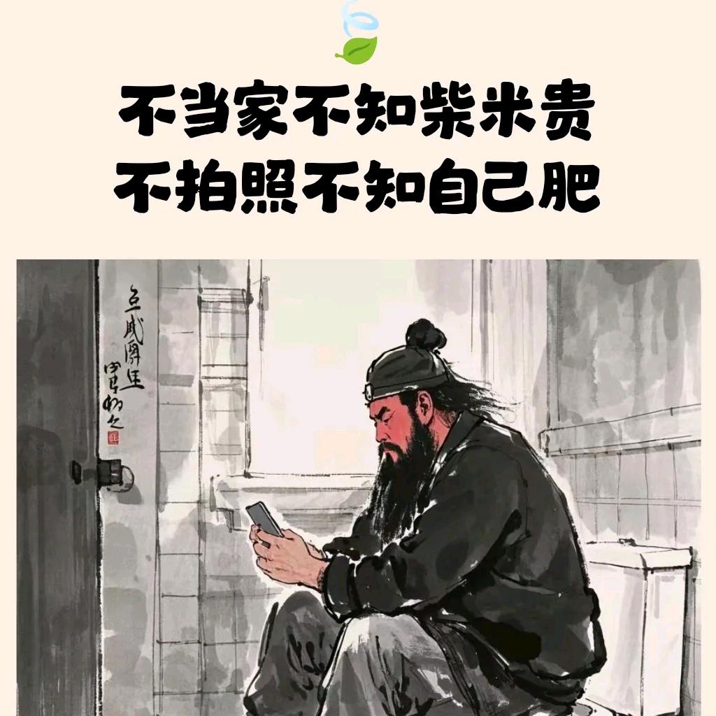陕西娃