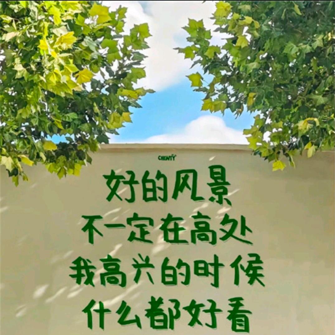 梦梦阳阳(拒绝私聊)