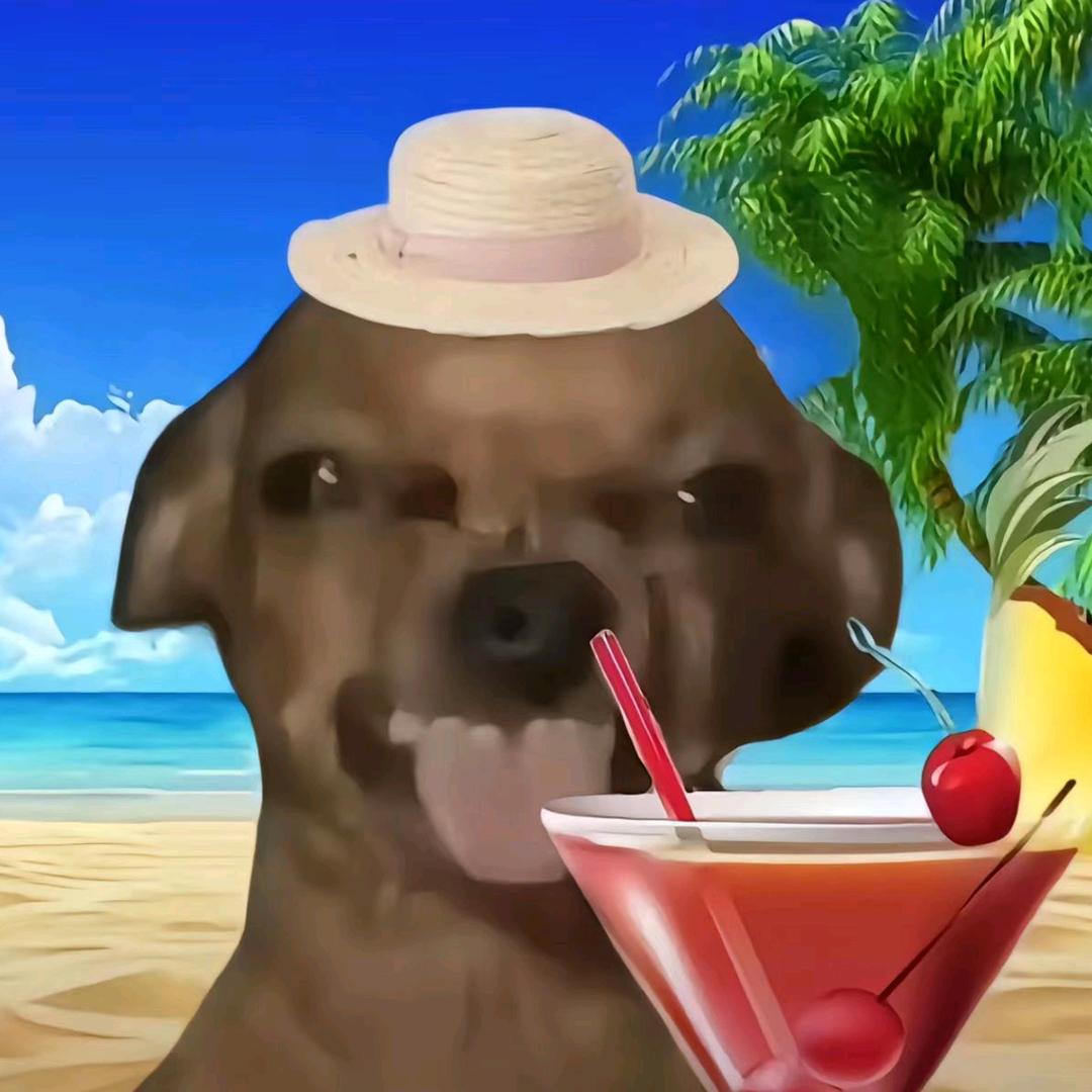 不想坠机《坠过机版》