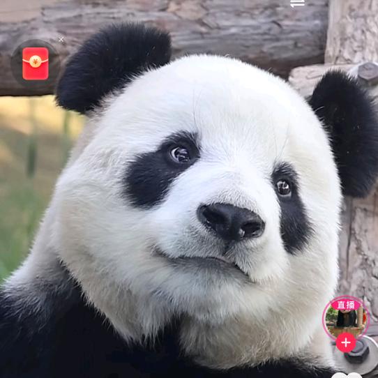 骑着蜗牛看世界