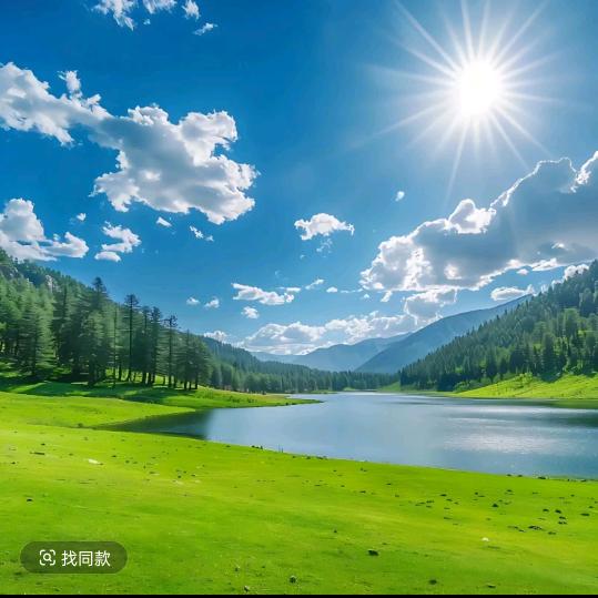 星星⭐️⭐️⭐️