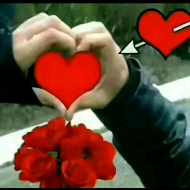 💕💕🌹🌹命运🌹🌹💕💕