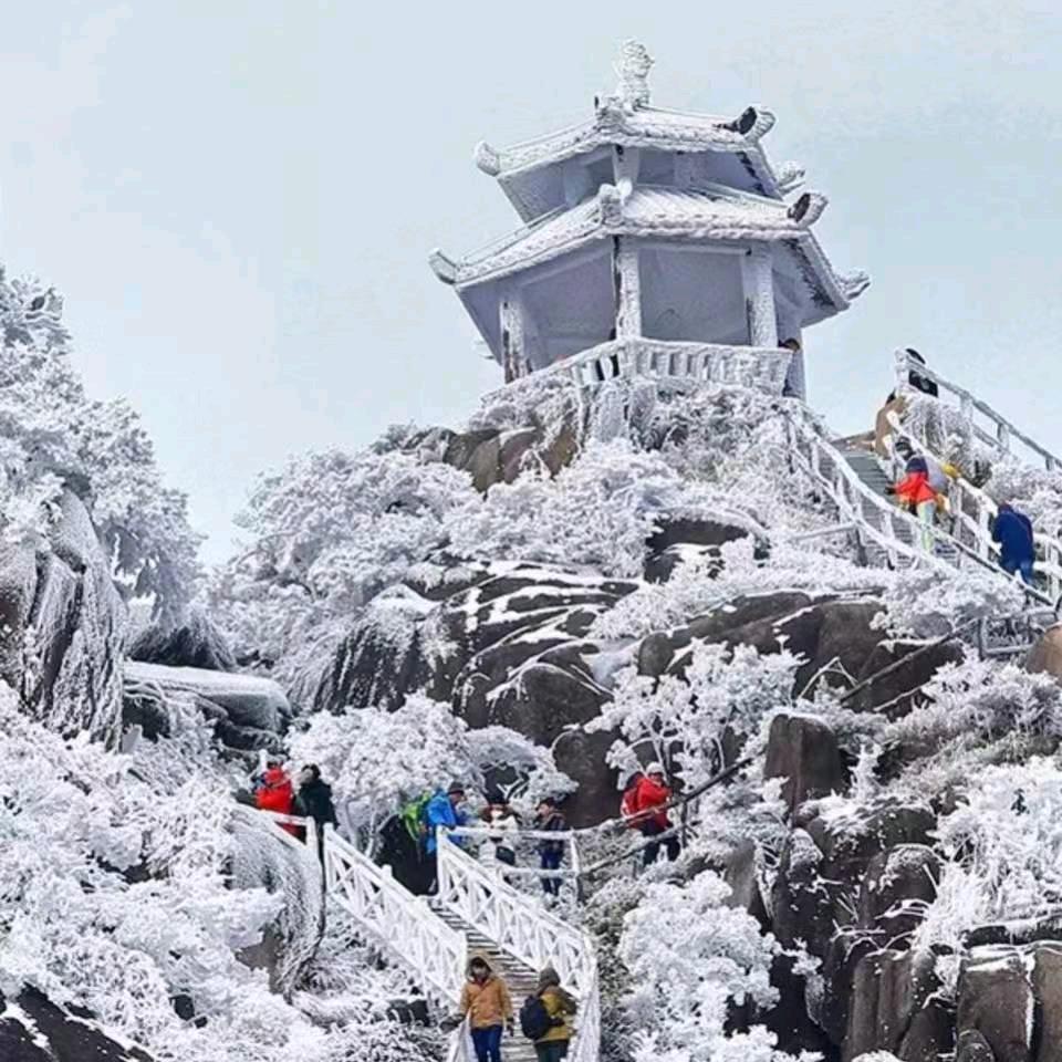 风中好寒