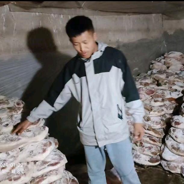 00后卖火腿小伙