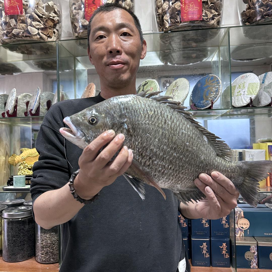 达哥带你玩南澳（一对一带打龟）