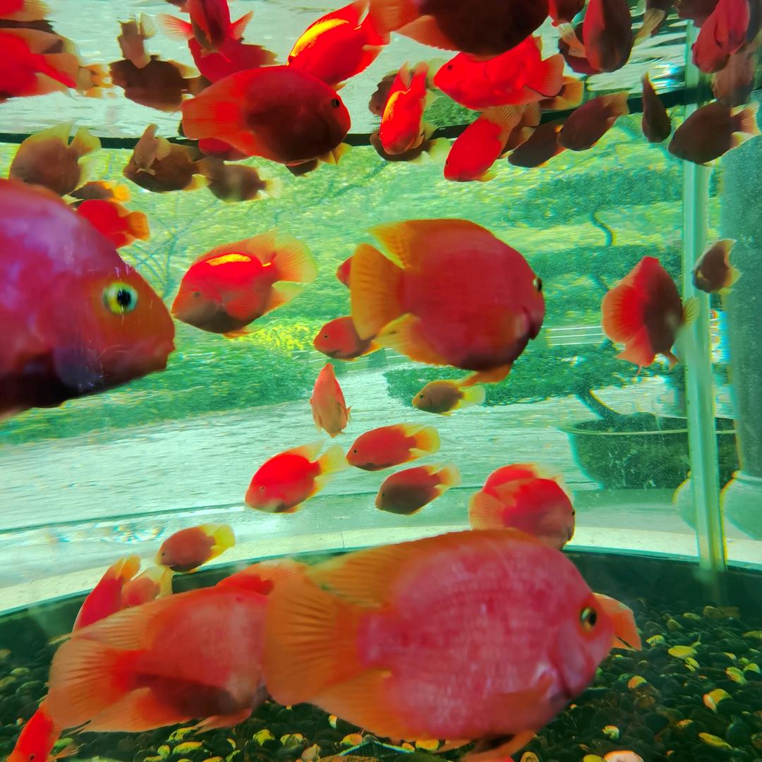 马家湾千里足道二楼白天足疗68老路口对面