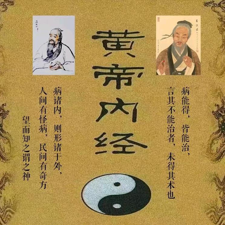 yzd113