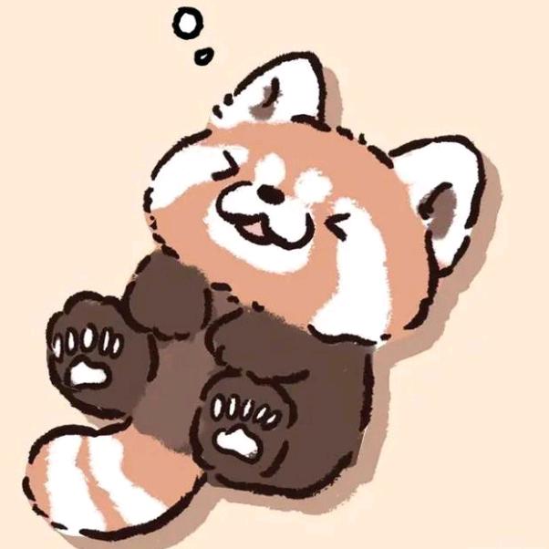 晓狸