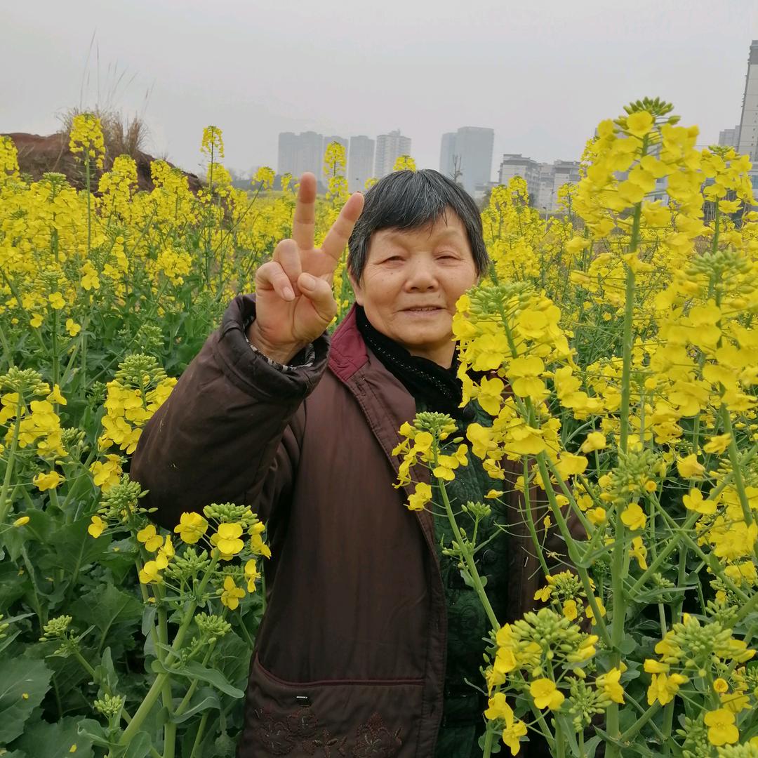 一生平安，