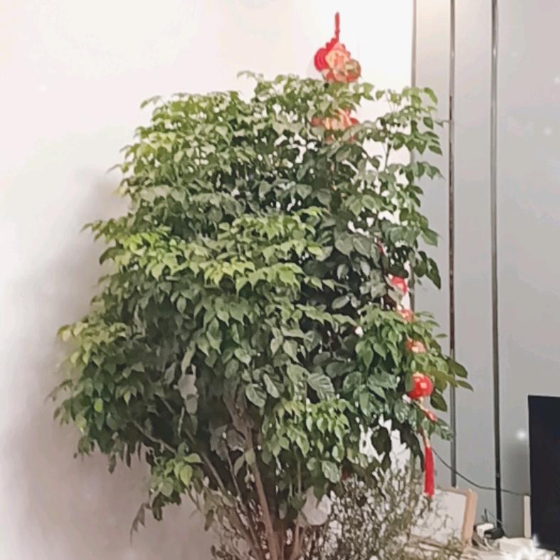 问世间情为何物？？？