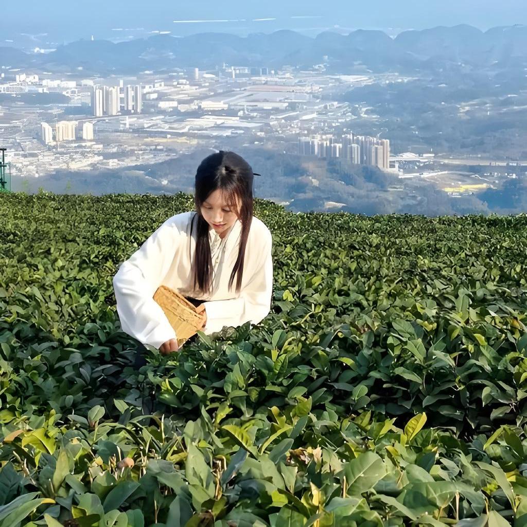 桔黎潮流研究所