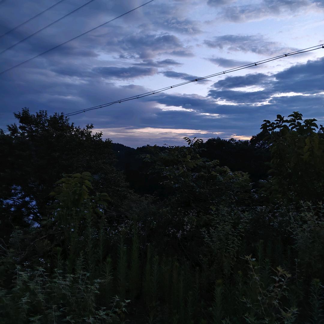 ꫛ᭄烟酒疗💞心殇ꦿ້໌ᮨ࿐