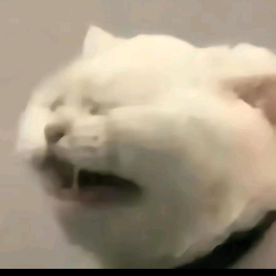 超级无敌袜子侠