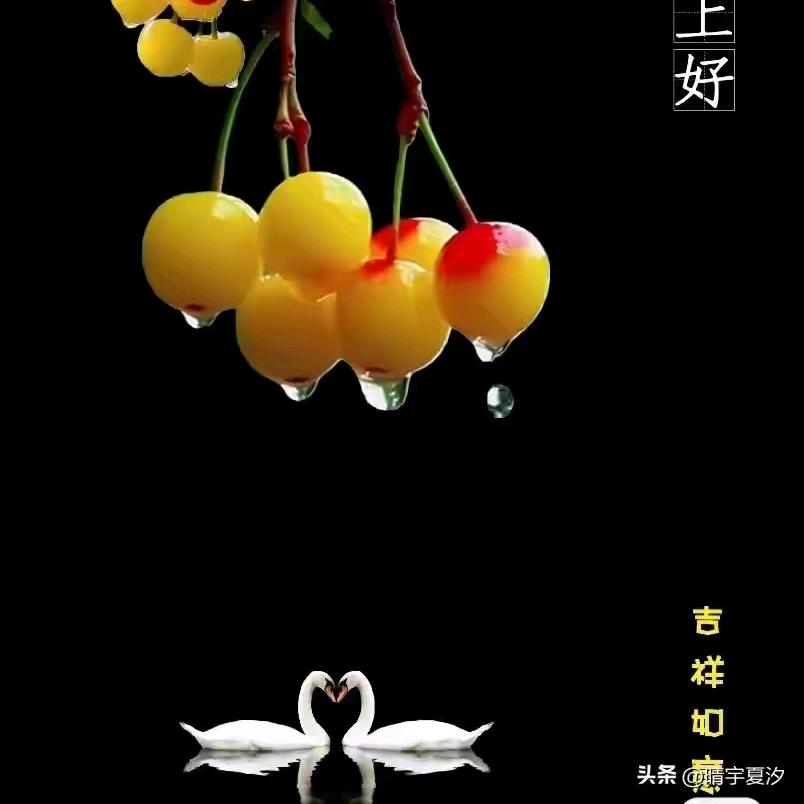 遨游四海