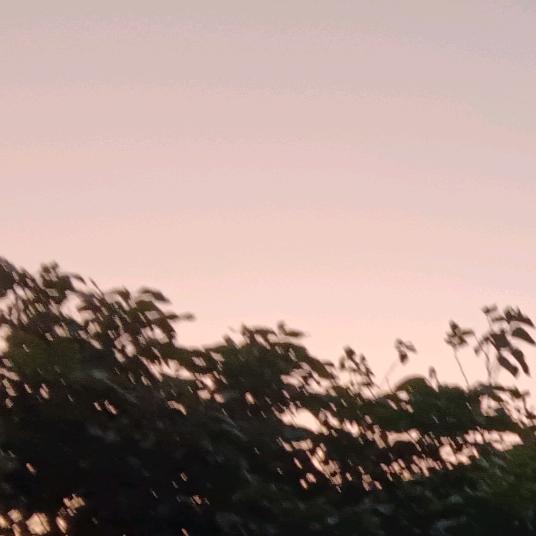 梁启梅