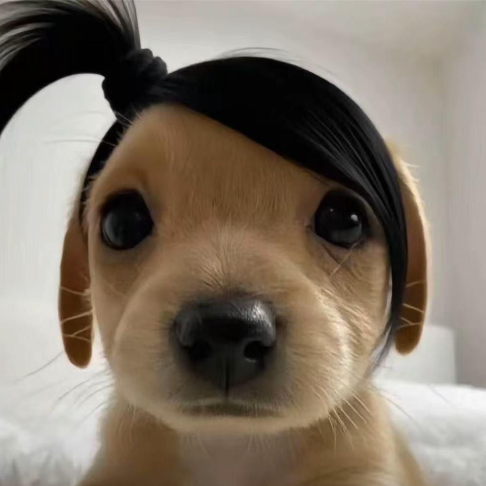 脏脏包＾Ｏ＾