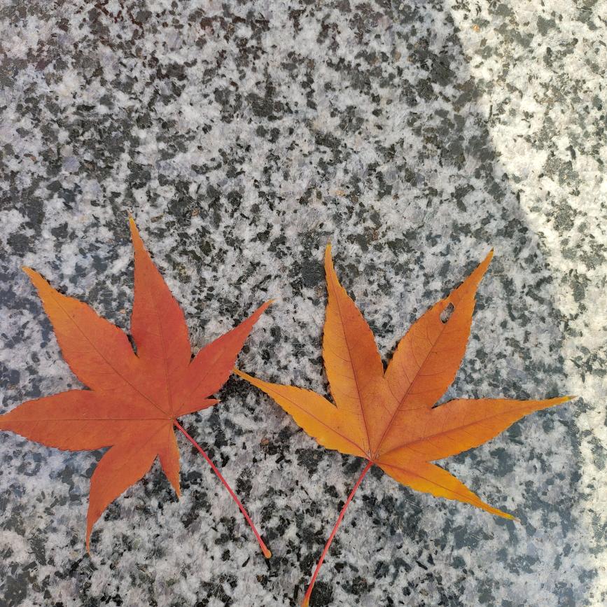 晴妈