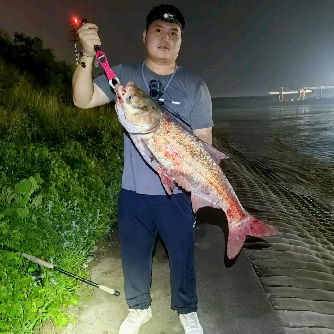 ⚓狂拉硬拽⚓矛山派