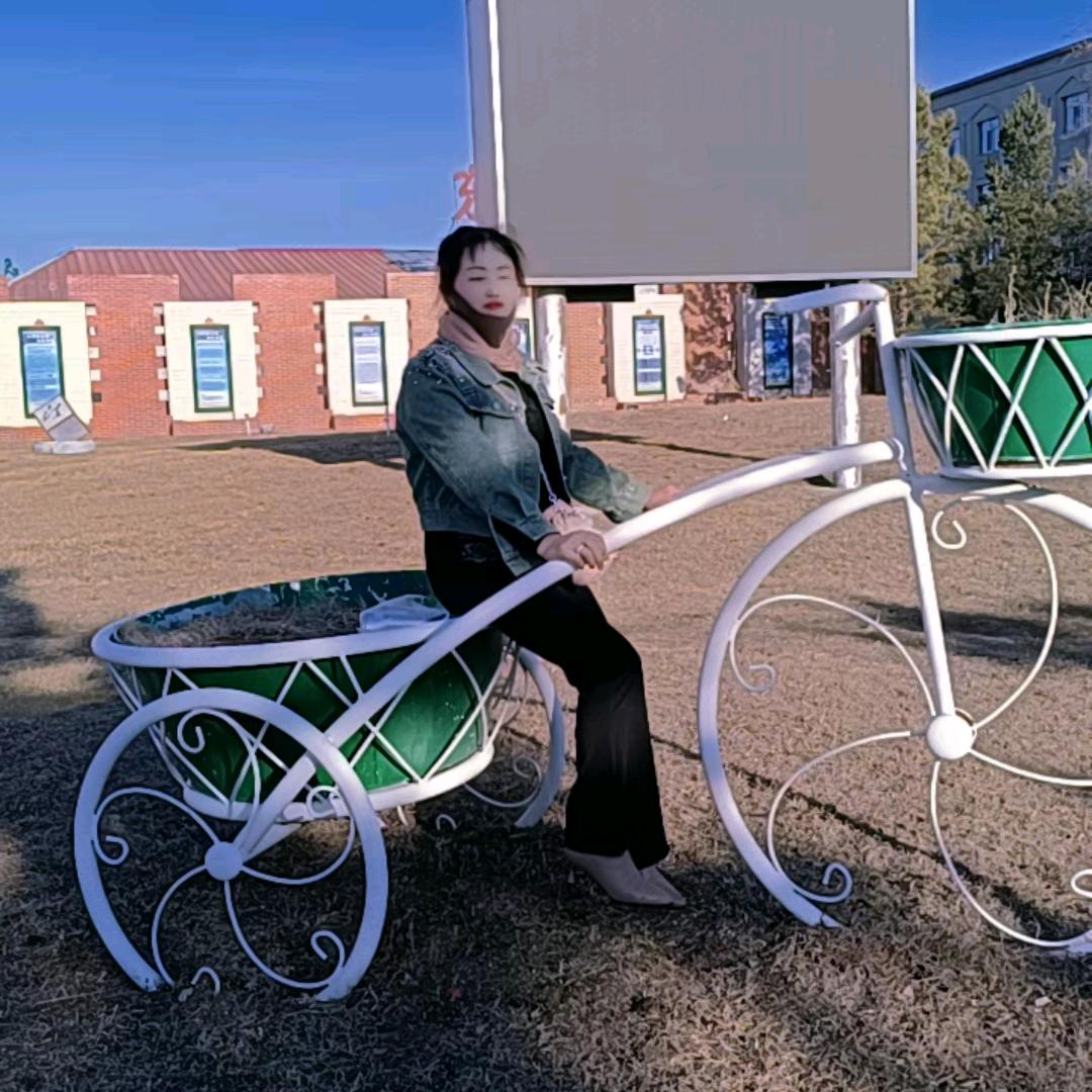 铿锵玫瑰