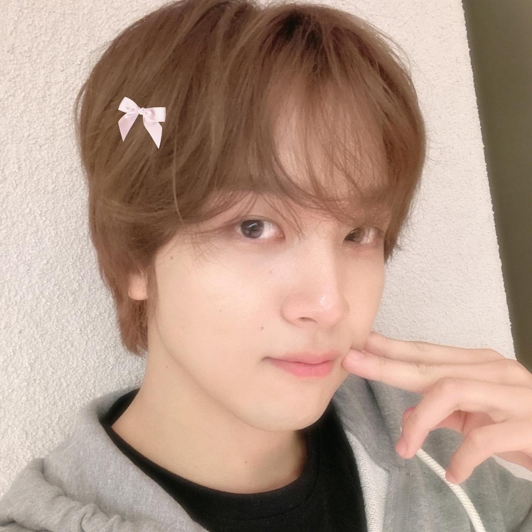 棕色小狗呢