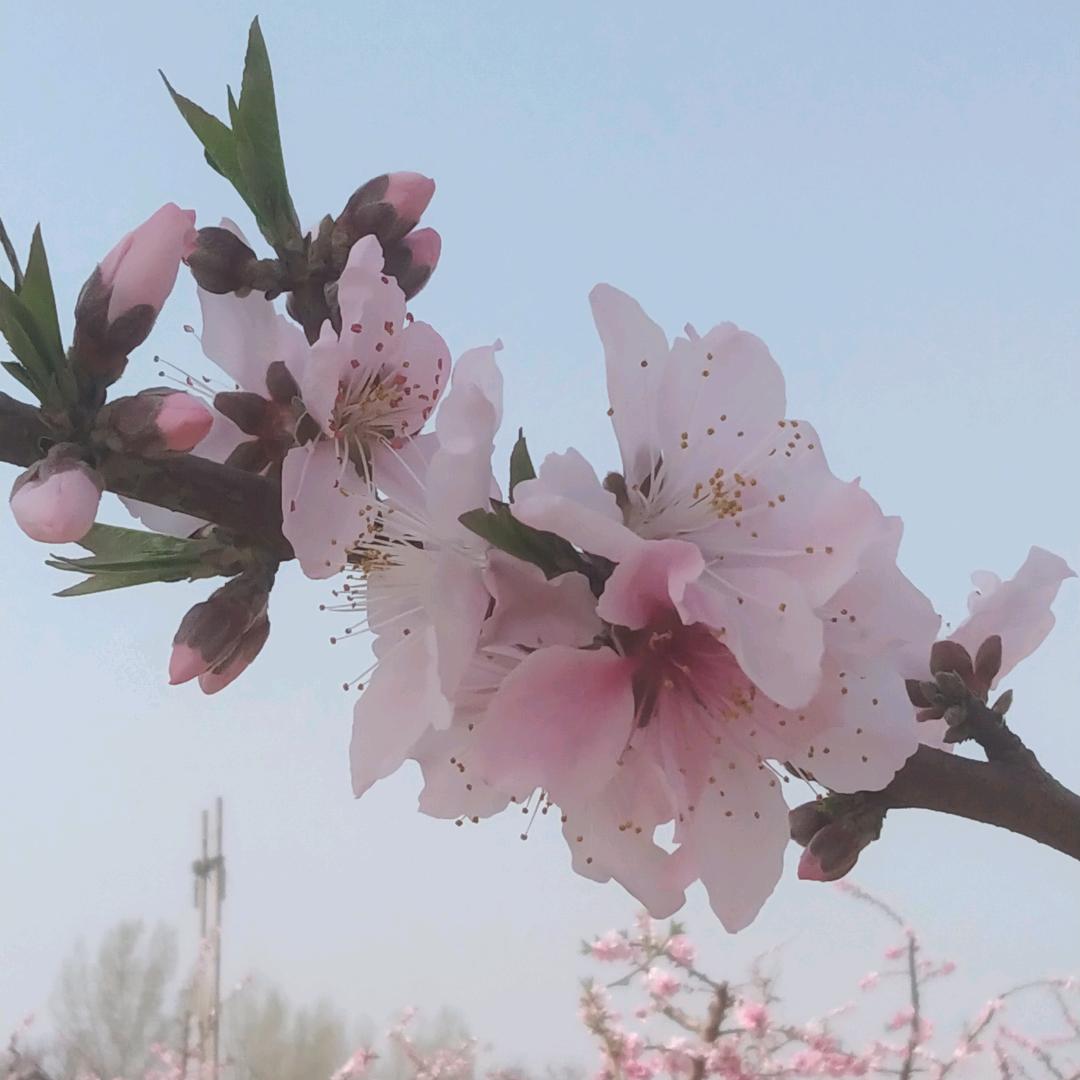 幸福开心