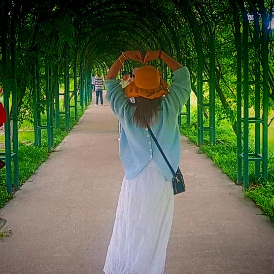 🌹佛系我心💝