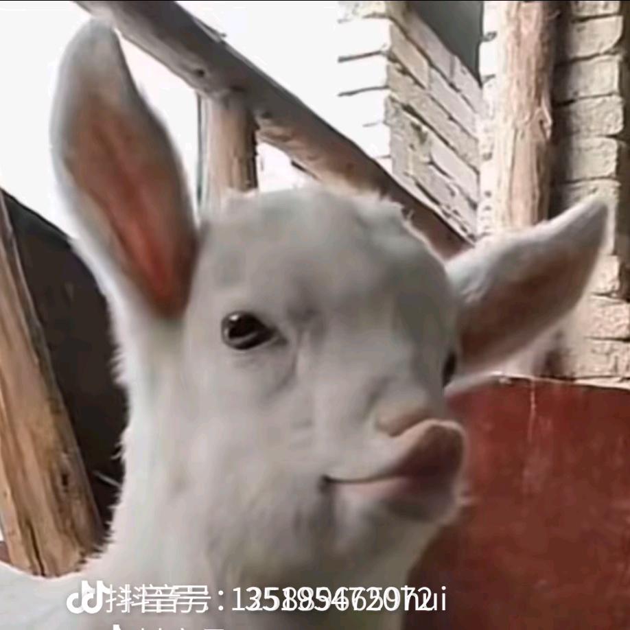 不要@我
