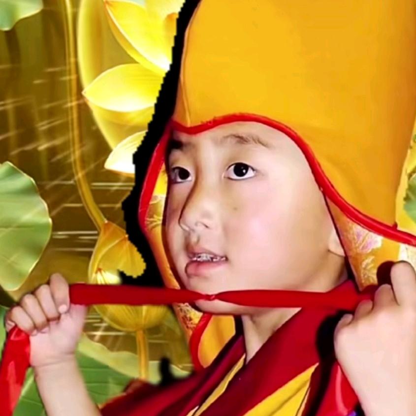 不咸不淡你懂不懂