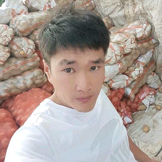 贵州洋芋批发（磊二哥）