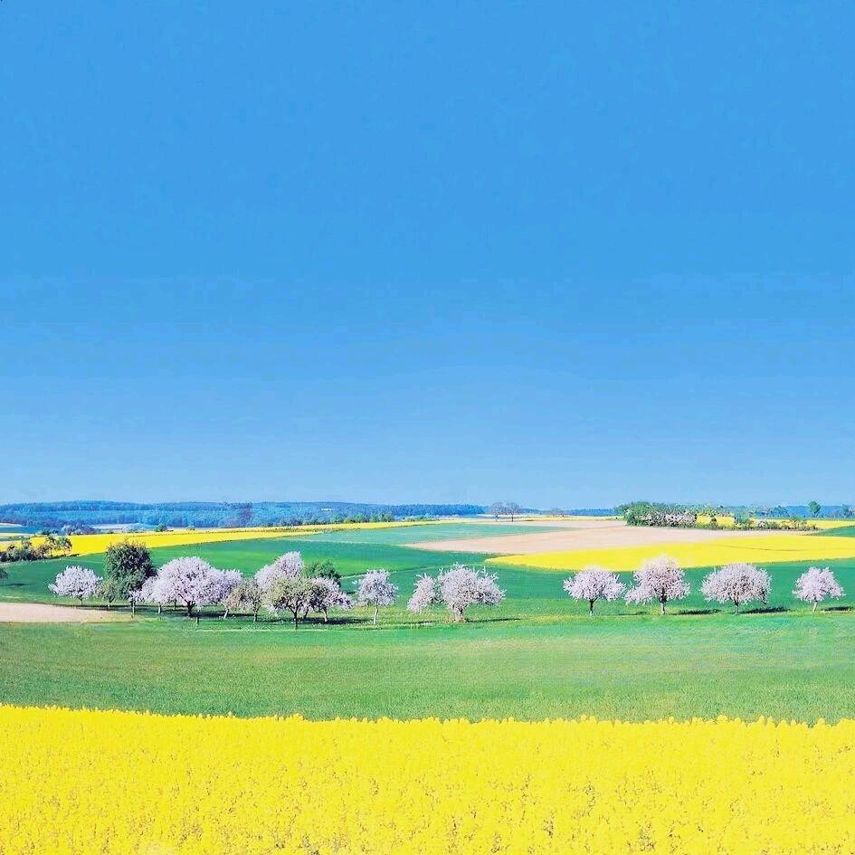 庆雅